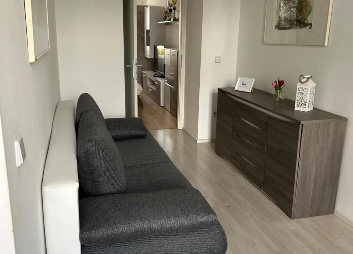 Apartment Schoene, Helle Wohnung In Stadtnaehe Vienna